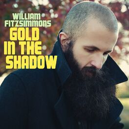 Album picture of Gold In The Shadow (Deluxe Version)