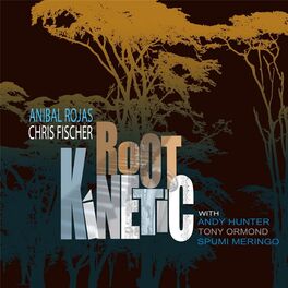 Album cover of Root Kinetic