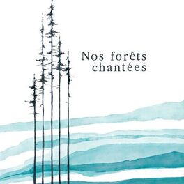 Album cover of Nos forêts chantées