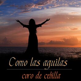 Album cover of Como las Aguilas