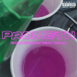 Album cover of Prometh (feat. Endroo & ninja)