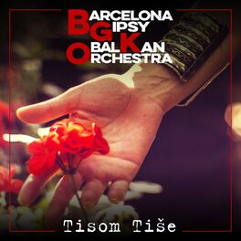 Album cover of Tisom Tiše