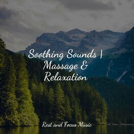 Album cover of Soothing Sounds | Massage & Relaxation