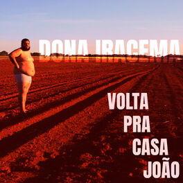 Album cover of Volta pra Casa João
