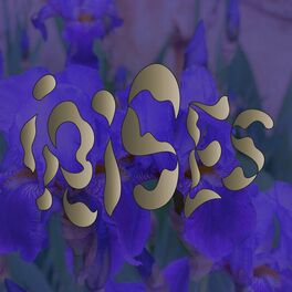 Album cover of Irises