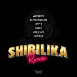Album cover of Shibilika (Remix)