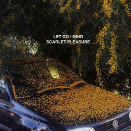 Album cover of Let Go / Mind