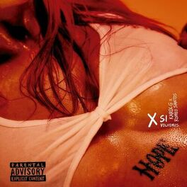Album cover of X SI VOLVEMOS