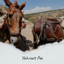 Album cover of Yahrzeit Pee