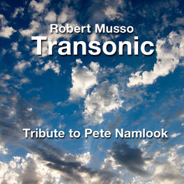Album cover of A Tribute to Pete Namlook (Live)