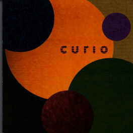Album cover of Curio