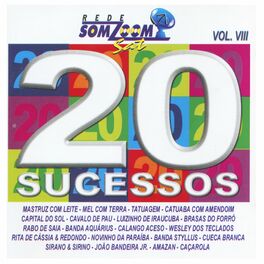 Album cover of 20 Sucessos SomZoom Sat, Vol. 8