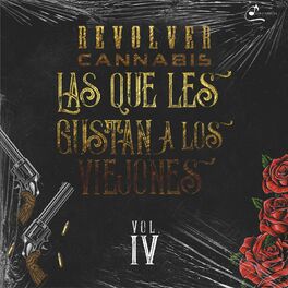 Album cover of Las Que Les Gustan a Los Viejones, Vol. 4 (En Vivo)