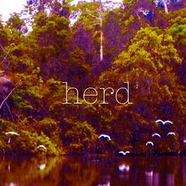 Album cover of Herd