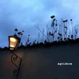 Album picture of Agridoce
