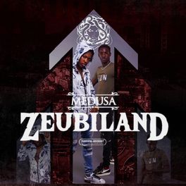 Album cover of Zeubiland