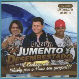 Album cover of Ao Vivo em Santa Cruz, Vol. 10