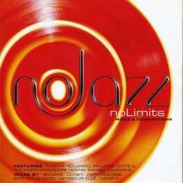 Album cover of NoLimits Mixes & Combinations