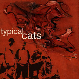 Typical Cats: albums, songs, playlists | Listen on Deezer