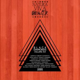 Album cover of Black Diamonds, Vol. 16