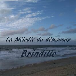 Album cover of La mélodie du désamour
