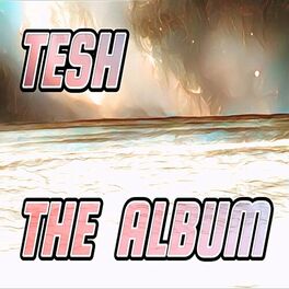 Album cover of The Album