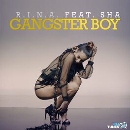 Album cover of Gangster Boy