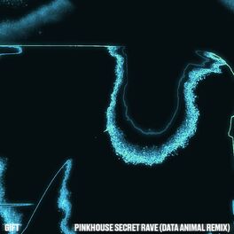 Album cover of Pinkhouse Secret Rave (Data Animal Remix)