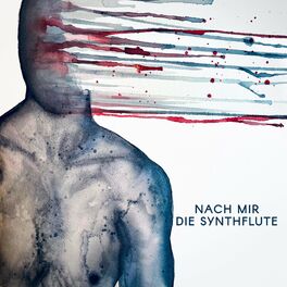 Album cover of Nach Mir Die Synthflute (feat. Tilla)
