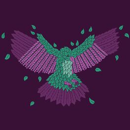 Album cover of Bird's Tail (Slow Meadow Rework)
