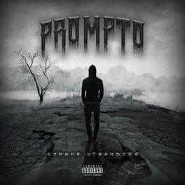 Album cover of Somber Stranding
