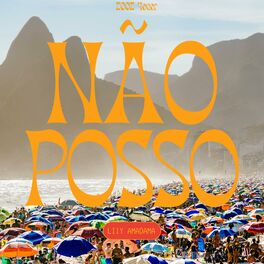 Album cover of Não Posso