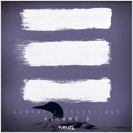 Album cover of Vursatil Essentials 03