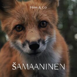 Album cover of Šamaaninen