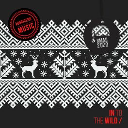 Album cover of In To The Wild - Xmas 2020