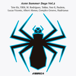 Album cover of A100 Summer Days, Vol. 2