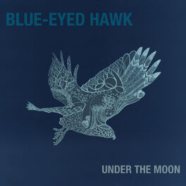 Album picture of Under the Moon