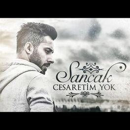 Album cover of Cesaretim Yok