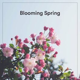 Album cover of Blooming Spring