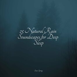Album cover of 25 Natural Rain Soundscapes for Deep Sleep