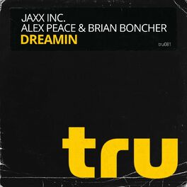 Album cover of Dreamin (Radio Mix)