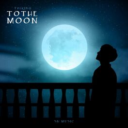 Album cover of Talking To The Moon