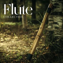 Flute Music Academy: albums, songs, playlists | Listen on Deezer