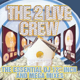 Album cover of Essential Dj 12 Inch & Mega Mixes (clean)
