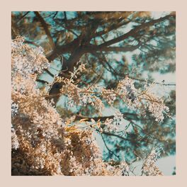 Album cover of I’m Here (Spring Version)