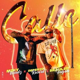 Album cover of Calle
