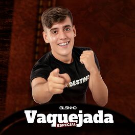 Album cover of Especial Vaquejada