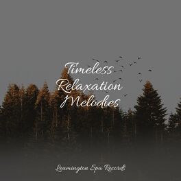 Album cover of Timeless Relaxation Melodies