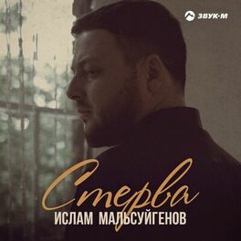 Album cover of Стерва