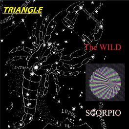 Album cover of Triangle